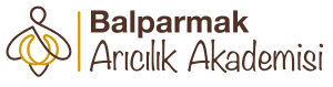 balparmak akademi logo